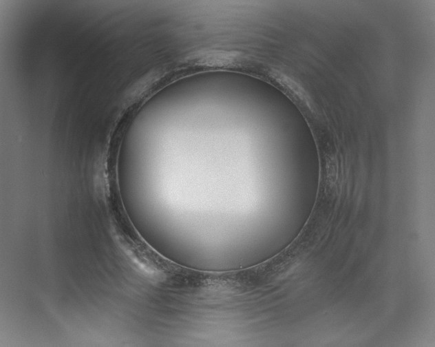 X0000074970682200609011216