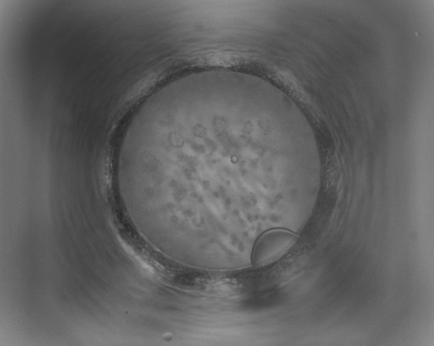 X0000074970683200609011216