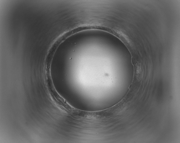 X0000074970684200609011216