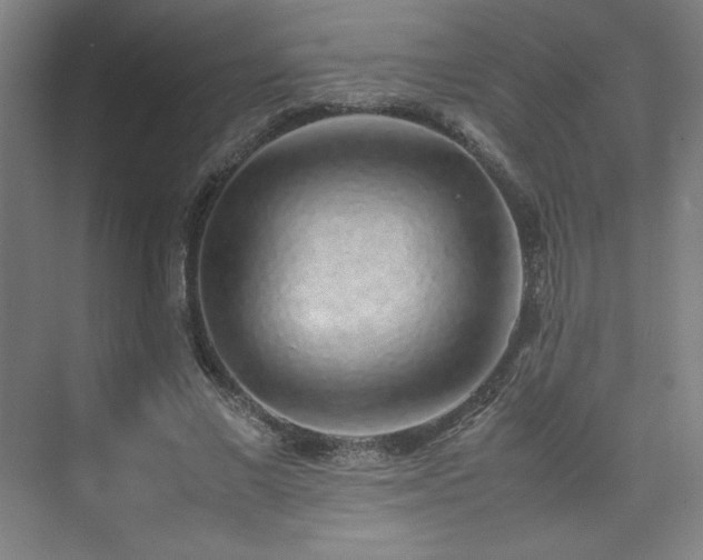 X0000074970685200609011216