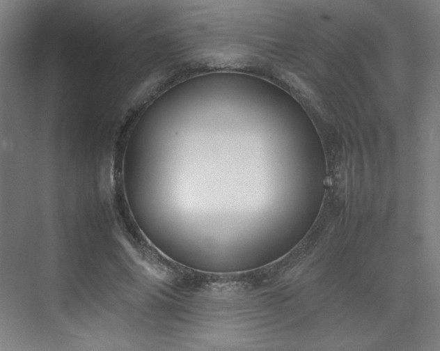 X0000074970686200609011216