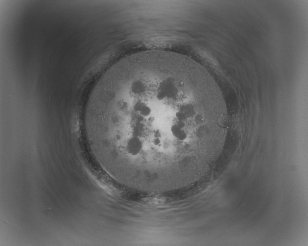 X0000074970687200609011216