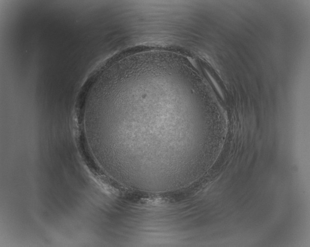 X0000074970688200609011216