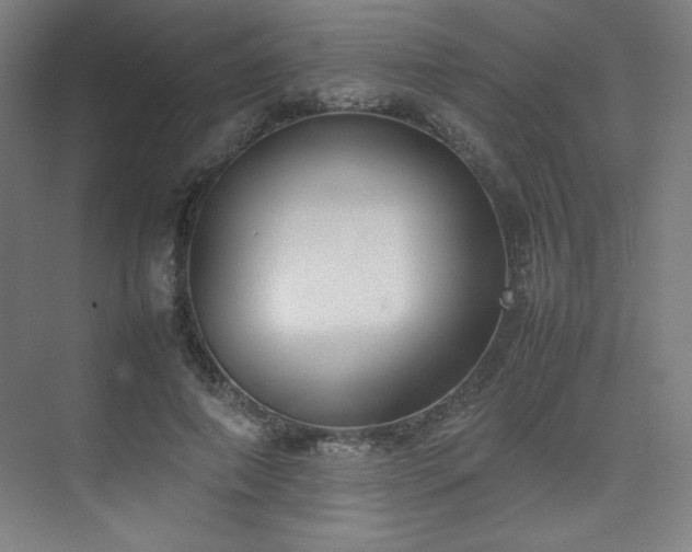 X0000074970690200609011216