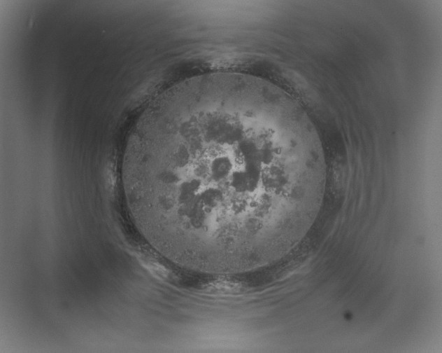 X0000074970691200609011216