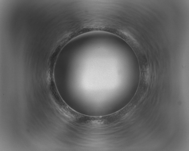 X0000074970692200609011216