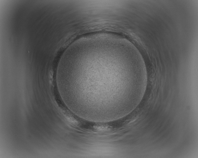 X0000074970693200609011216