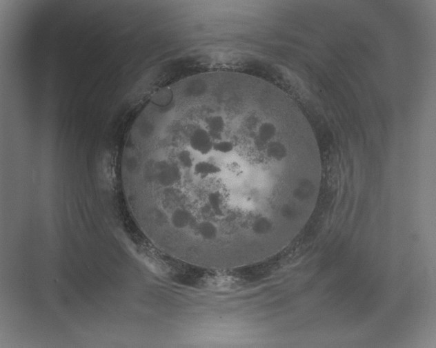 X0000074970695200609011216