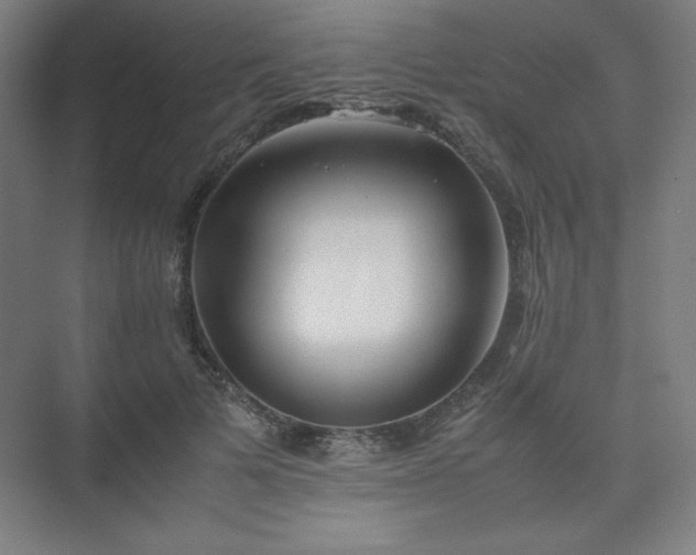 X0000074970697200609011216