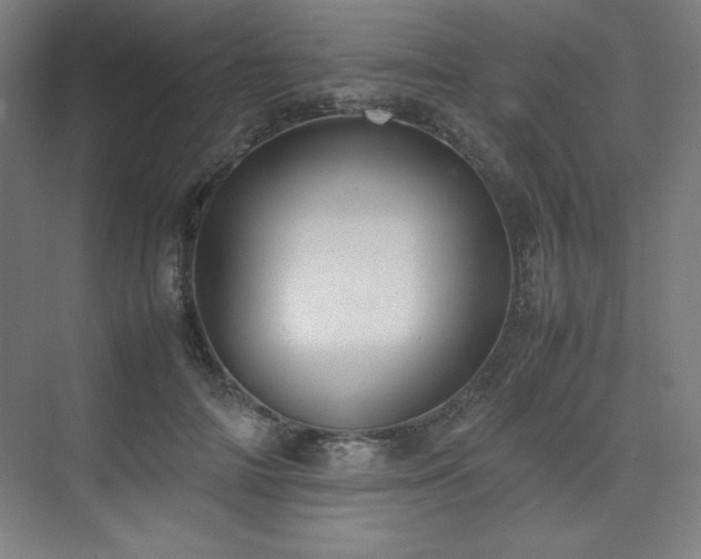 X0000074970698200609011216