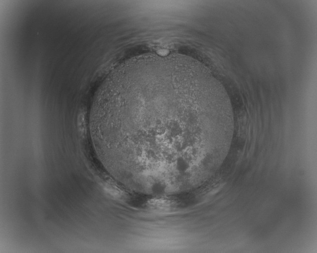 X0000074970699200609011216