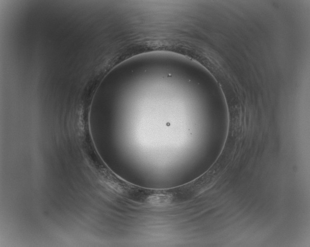 X0000074970700200609011216