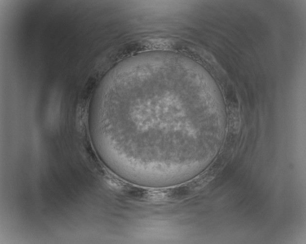 X0000074970701200609011216