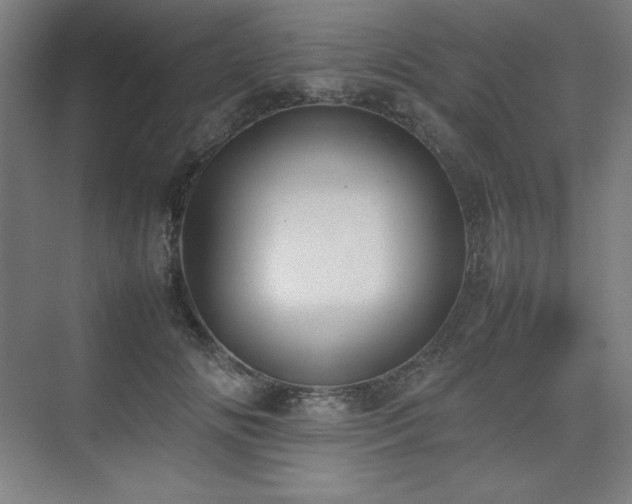 X0000074970702200609011216