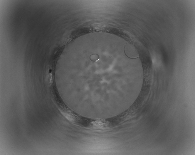 X0000074970703200609011216