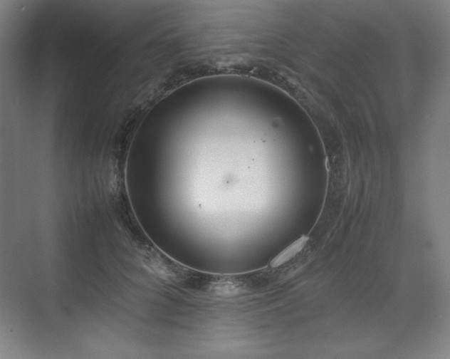 X0000074970704200609011216