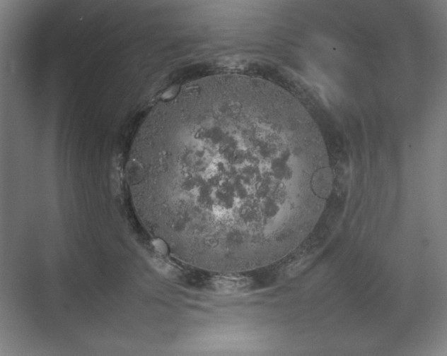 X0000074970707200609011216