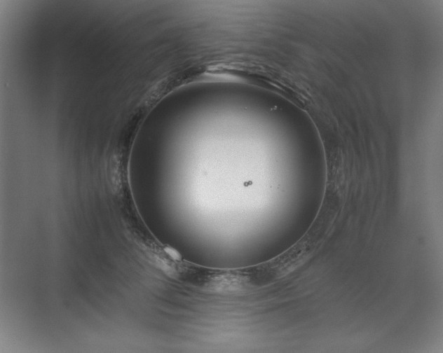 X0000074970708200609011216