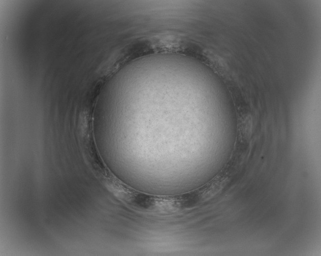 X0000074970709200609011216