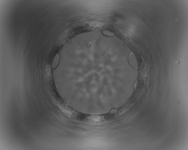 X0000074970711200609011216