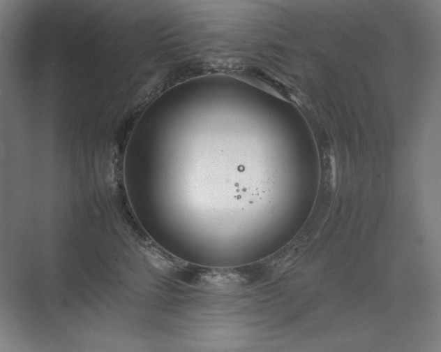 X0000074970712200609011216