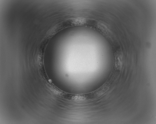 X0000074970714200609011216