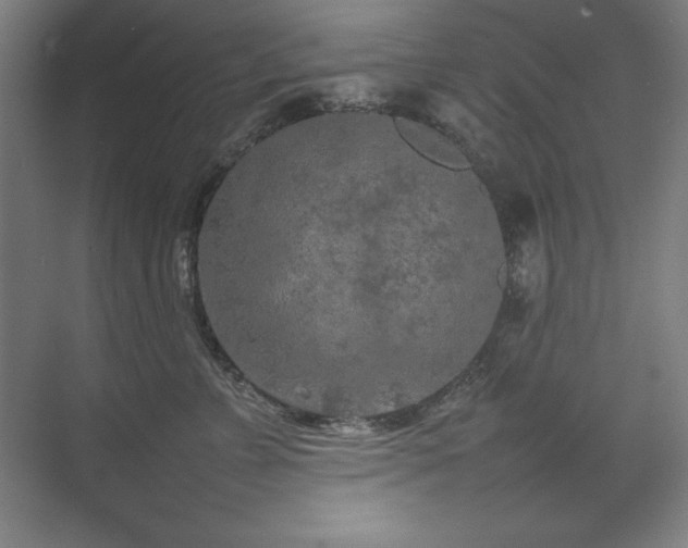 X0000074970715200609011216