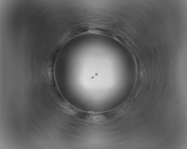 X0000074970716200609011216