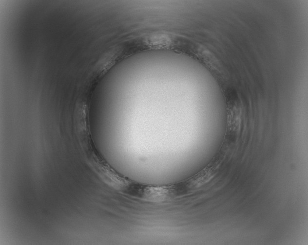 X0000074970717200609011216