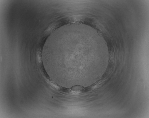 X0000074970719200609011216