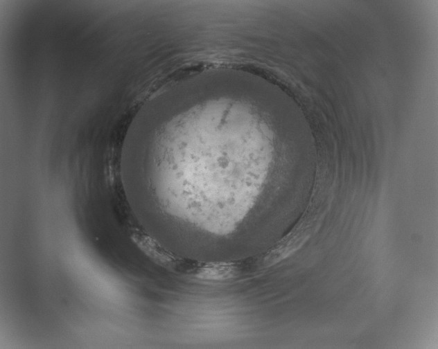 X0000074970720200609011216