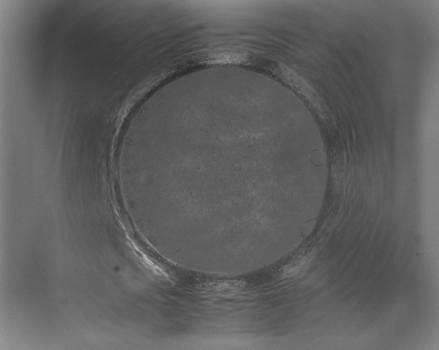 X0000074970721200609011215