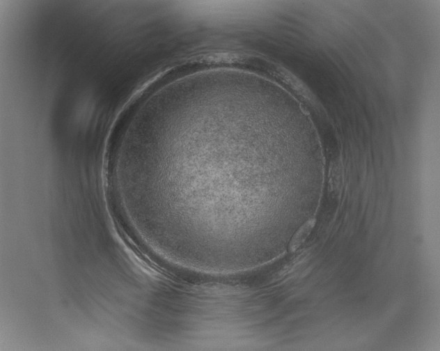 X0000074970722200609011215