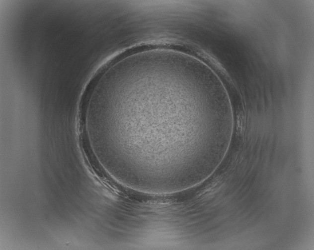 X0000074970724200609011215