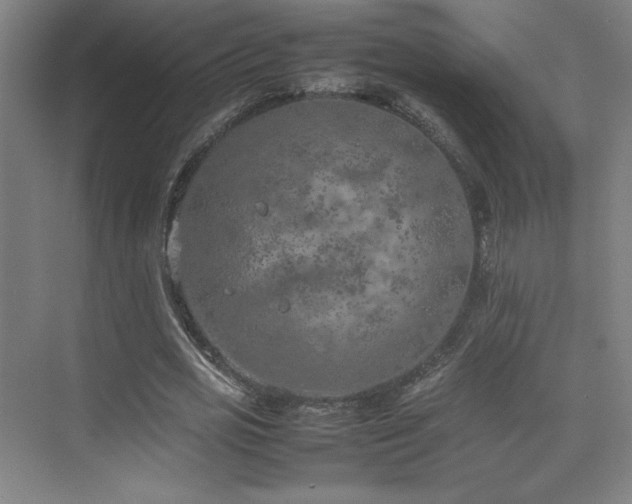 X0000074970725200609011215