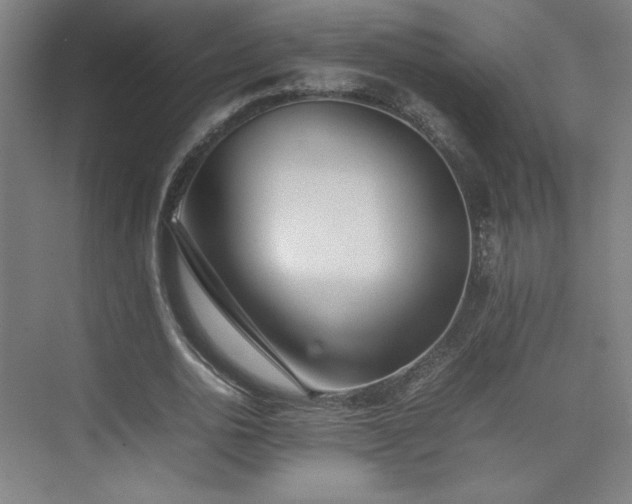 X0000074970726200609011215