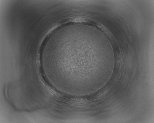 X0000074970727200609011215