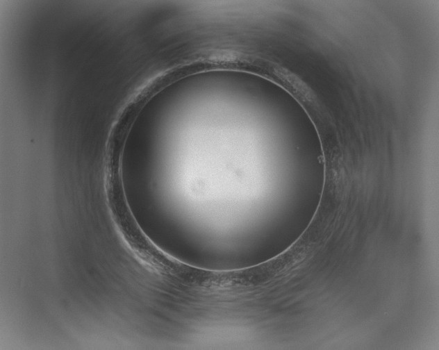 X0000074970728200609011215