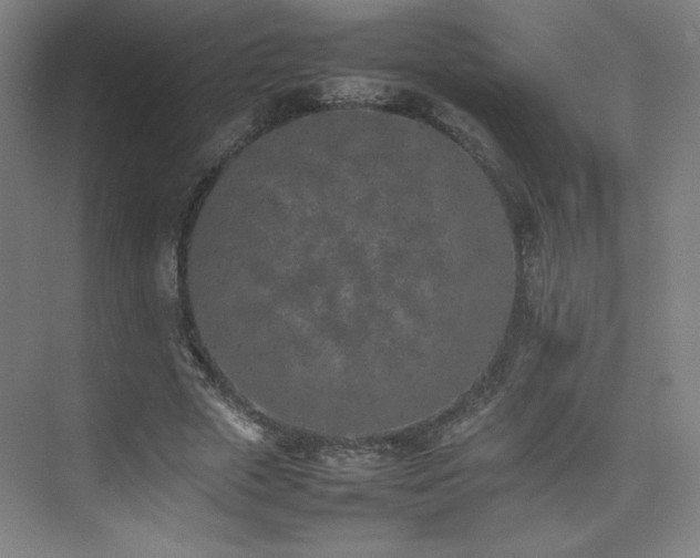 X0000074970729200609011215