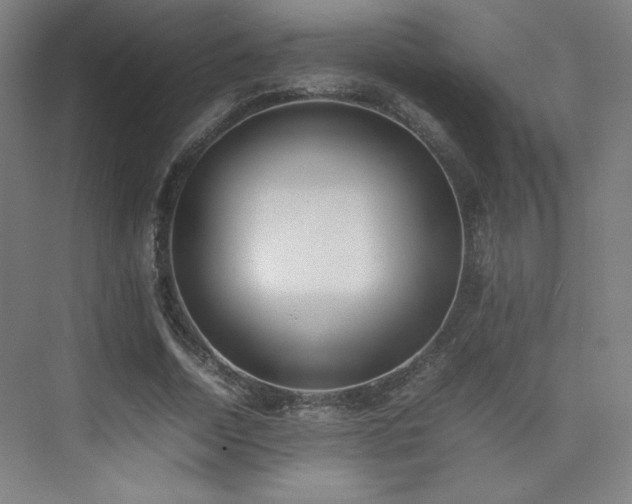 X0000074970730200609011215