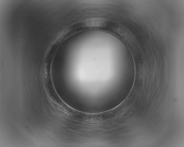 X0000074970731200609011215