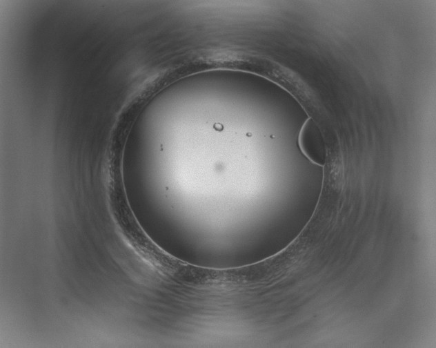 X0000074970732200609011215