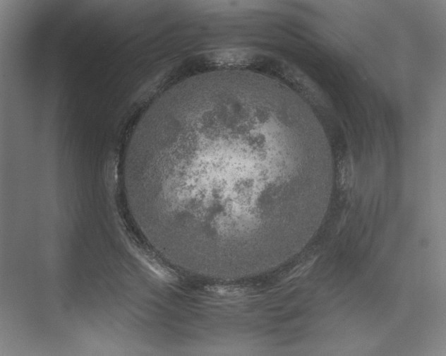 X0000074970733200609011215