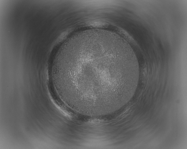 X0000074970734200609011215