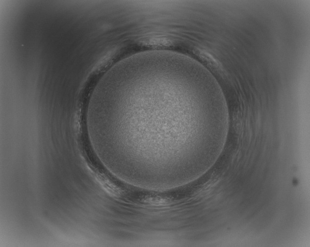 X0000074970735200609011215