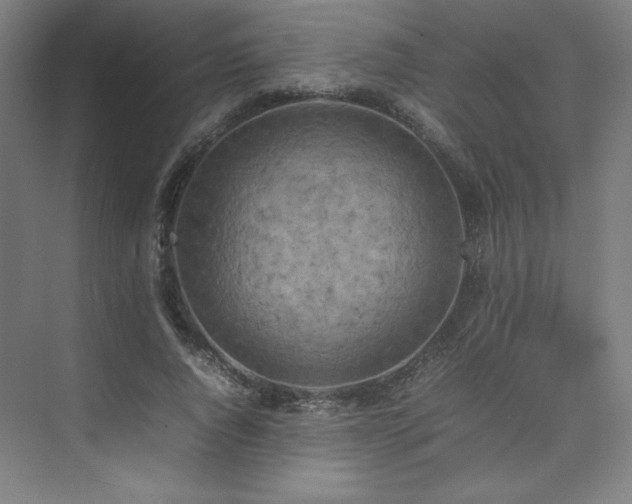 X0000074970736200609011215