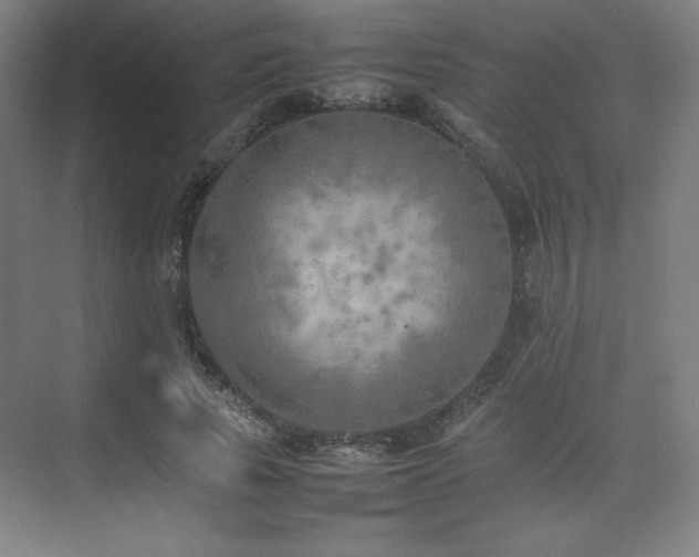 X0000074970737200609011215