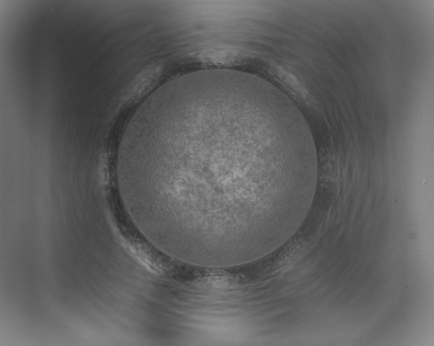 X0000074970738200609011215