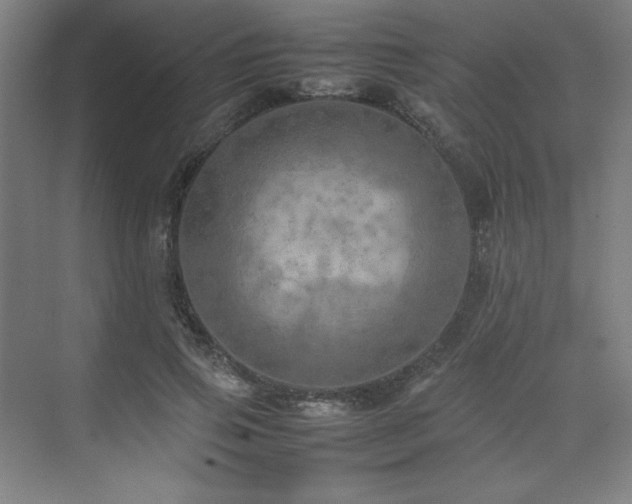 X0000074970741200609011215