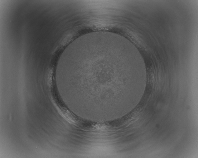 X0000074970742200609011215